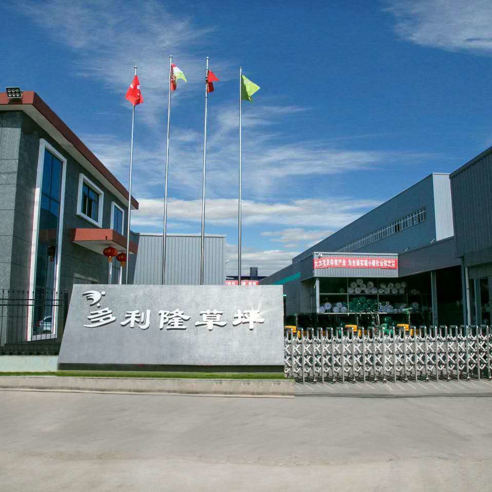 Chine Dorelom artificial grass group co,ltd. Profil de la société