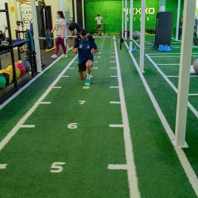 Tapis d'herbe artificielle vert de 15 mm de hauteur de pile pour un gymnase commercial