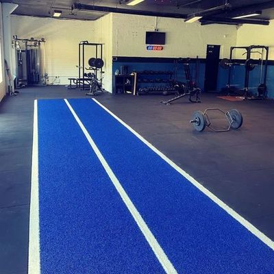 Tapis d'herbe artificielle vert de 15 mm de hauteur de pile pour un gymnase commercial