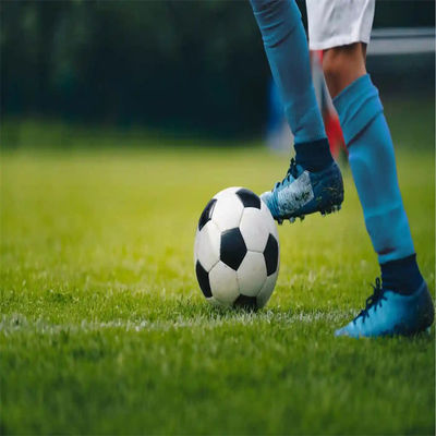 PE Verte mini-piège de football Piège de football à gazon artificiel pour plancher de terrain de football