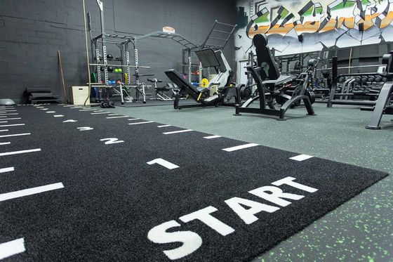 Dorelom Fitness La pelouse tapis de sol noir bleu arc-en-ciel synthétique faux gazon salle de sport herbe artificielle pour le fitness