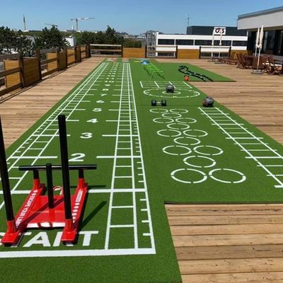 CE ISO9001 ISO14001 certifié Dorelom Mat de gazon sportif de formation pour le plancher de fitness