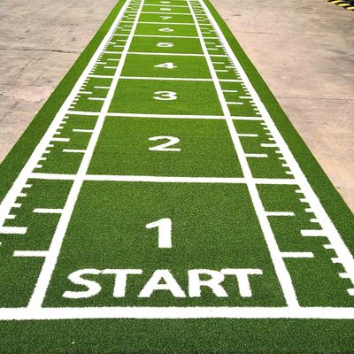 CE ISO9001 ISO14001 certifié Dorelom Mat de gazon sportif de formation pour le plancher de fitness