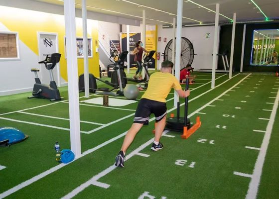 Plancher de sport en herbe synthétique brune confortable pour l' entraînement en jardin