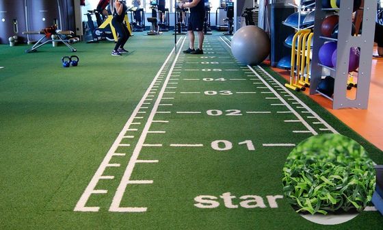Haute densité 63000 points/m2 Herbe de gym personnalisée pour le parquet sportif et l'entraînement en traîneau