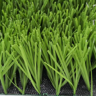 Champ de football en forme de W Bicolore résistant aux UV Monofilament PE Herbe artificielle