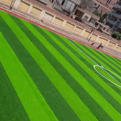 Champ de football en forme de W Bicolore résistant aux UV Monofilament PE Herbe artificielle