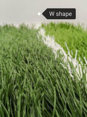 Champ de football en forme de W Bicolore résistant aux UV Monofilament PE Herbe artificielle
