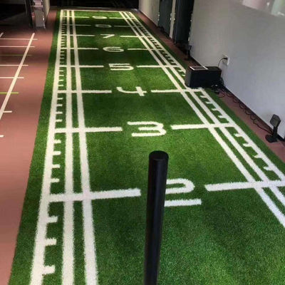 Sport Autres pelouses artificielles Paysage pour le golf Champs de football Salles de sport Herbe synthétique