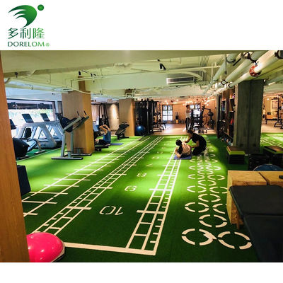 Grassage artificiel en monofilament PE vert pour le gymnase et le jardin d'enfants