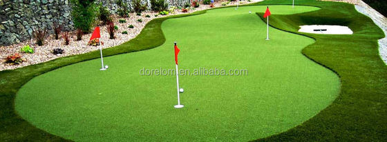 Serre verte certifiée SGS, mini-golf, gazon artificiel inclus