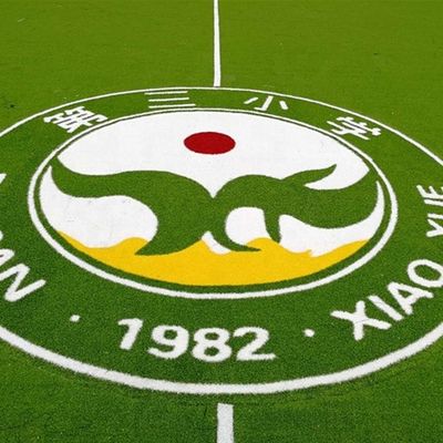 PE PP Support Logo d'herbe artificielle motif de couleur de gazon synthétique tapis de football mini