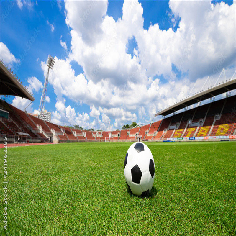 PE Verte mini-piège de football Piège de football à gazon artificiel pour plancher de terrain de football