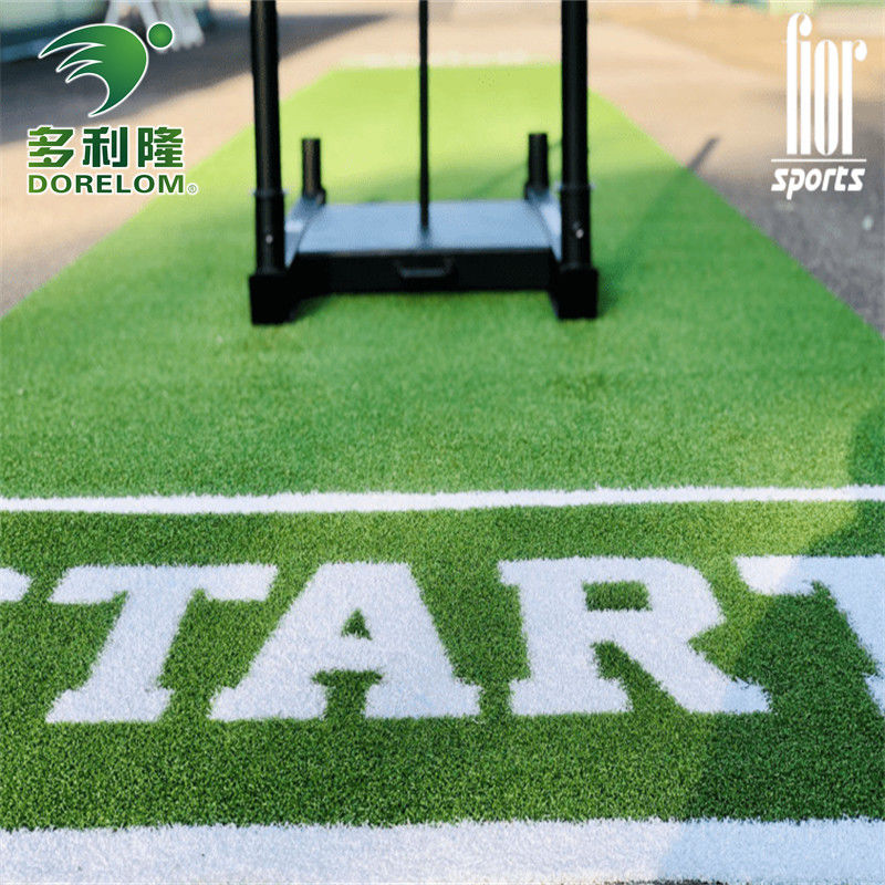 Tapis de sol de gymnase de sport de jardin avec logo Dorelom piste de traîneau personnalisée herbe artificielle