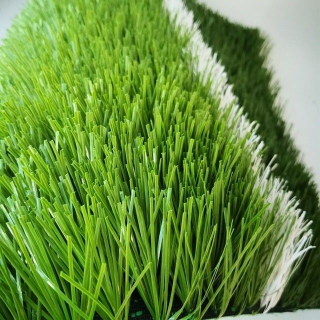 PE UV stabilisé 50 mm Hauteur cinq côtés Football Football Herbe en forme de S C Futsal Turf